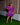 Porsha Playsuit (Blue/Pink)