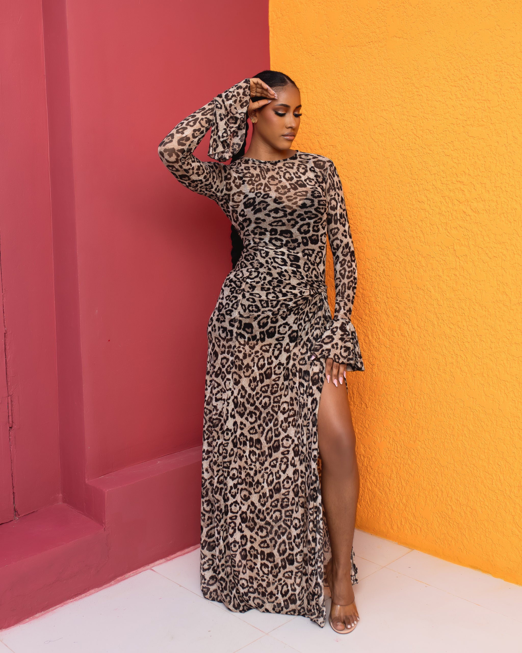 Milan Mesh Dress (Wild Ember Print)