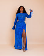Milan Mesh Dress ( Blue Sapphire Ziva Print)